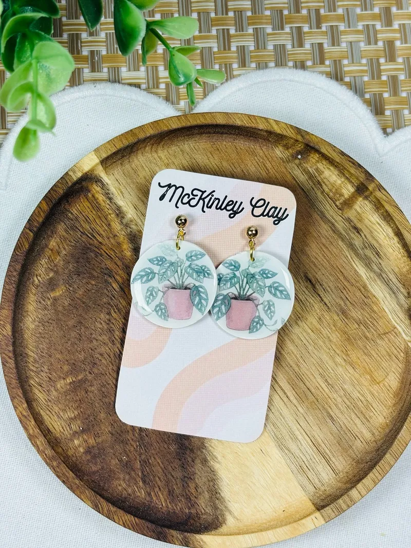 House plant dangle